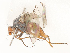  ( - CBG-A53663-G11)  @11 [ ] CreativeCommons - Attribution Share - Alike (2024) CBG Photography Group Centre for Biodiversity Genomics