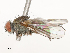  ( - CBG-A53663-H11)  @11 [ ] CreativeCommons - Attribution Share - Alike (2024) CBG Photography Group Centre for Biodiversity Genomics