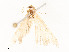  ( - CBG-A53665-E09)  @11 [ ] CreativeCommons - Attribution Share - Alike (2024) CBG Photography Group Centre for Biodiversity Genomics