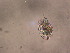 ( - IZCON002)  @13 [ ] No Rights Reserved  Unspecified Unspecified