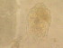  ( - IZCON046)  @11 [ ] No Rights Reserved  Unspecified Unspecified