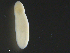  ( - C.Op.Ca.Lzi.2)  @12 [ ] CreativeCommons - Attribution (2014) Sean Locke Centre for Biodiversity Genomics