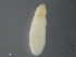 ( - C.Op.Ca.Lzi.4)  @13 [ ] CreativeCommons - Attribution (2014) Sean Locke Centre for Biodiversity Genomics
