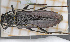  ( - JT-EUR-130)  @11 [ ] CC-By (2021) Julien Touroult Muséum national d'histoire naturelle, Paris