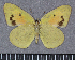  ( - GVDP116)  @13 [ ] Copyright (2009) Unspecified Unspecified
