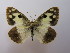  ( - ARPI-9999-003)  @15 [ ] Copyright (2009) Unspecified Unspecified