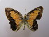  ( - ARPI-9999-008)  @13 [ ] Copyright (2009) Unspecified Unspecified