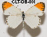  ( - CLT-OB-001)  @14 [ ] Copyright (2009) Unspecified Unspecified