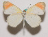  ( - CLT-OB-001)  @13 [ ] Copyright (2009) Unspecified Unspecified