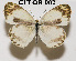  ( - CLT-OB-002)  @14 [ ] Copyright (2009) Unspecified Unspecified