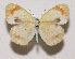  ( - CLT-OB-002)  @14 [ ] Copyright (2009) Unspecified Unspecified
