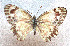  ( - CNCLEP00138879)  @11 [ ] Copyright (2018) Peter Merrett Unspecified