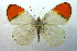  ( - USNMENT00656118)  @13 [ ] Copyright (2009) Unspecified Unspecified