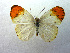  ( - USNMENT00656120)  @14 [ ] Copyright (2009) Unspecified Unspecified
