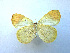  ( - USNMENT00656121)  @13 [ ] Copyright (2009) Unspecified Unspecified