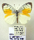  ( - TBL 119.1)  @11 [ ] Copyright (2009) Unspecified Unspecified