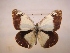  ( - SC-B668)  @11 [ ] Copyright (2009) Unspecified Unspecified