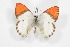  ( - BC-TB3569)  @14 [ ] Copyright (2009) Unspecified Unspecified