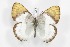  ( - BC-TB3606)  @14 [ ] Copyright (2009) Unspecified Unspecified