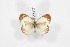  ( - BC-TB3663)  @13 [ ] Copyright (2009) Unspecified Unspecified