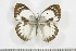  ( - BC-TB3705)  @14 [ ] Copyright (2009) Unspecified Unspecified