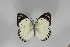  ( - BC-TB5636)  @14 [ ] Copyright (2009) Unspecified Unspecified