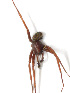  ( - IJ1139)  @11 [ ] CreativeCommons - Attribution Share-Alike (2024) Unspecified Universidade Estadual de Londrina