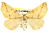  ( - BIOUG02040-H08)  @14 [ ] CreativeCommons - Attribution (2012) CBG Photography Group Centre for Biodiversity Genomics