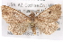  ( - BIOUG02044-C02)  @14 [ ] CreativeCommons - Attribution (2012) CBG Photography Group Centre for Biodiversity Genomics