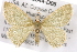  ( - BIOUG02044-D05)  @14 [ ] CreativeCommons - Attribution (2012) CBG Photography Group Centre for Biodiversity Genomics