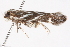  ( - BIOUG02044-F10)  @12 [ ] CreativeCommons - Attribution (2012) CBG Photography Group Centre for Biodiversity Genomics