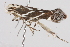  ( - BIOUG02044-G01)  @12 [ ] CreativeCommons - Attribution (2012) CBG Photography Group Centre for Biodiversity Genomics