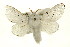  ( - CMAZ-0812)  @14 [ ] CreativeCommons - Attribution (2010) CBG Photography Group Centre for Biodiversity Genomics