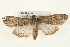  ( - CMAZ-0109)  @14 [ ] CreativeCommons - Attribution (2010) Unspecified Centre for Biodiversity Genomics