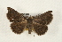  ( - CMAZ-0110)  @14 [ ] CreativeCommons - Attribution (2010) Unspecified Centre for Biodiversity Genomics