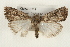  ( - CMAZ-0114)  @14 [ ] CreativeCommons - Attribution (2010) Unspecified Centre for Biodiversity Genomics