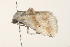  ( - CMAZ-0127)  @12 [ ] CreativeCommons - Attribution (2010) Unspecified Centre for Biodiversity Genomics