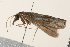  ( - CMAZ-0134)  @13 [ ] CreativeCommons - Attribution (2010) Unspecified Centre for Biodiversity Genomics