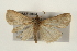  ( - CMAZ-0164)  @13 [ ] CreativeCommons - Attribution (2010) Unspecified Centre for Biodiversity Genomics