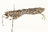  ( - CMAZ-0214)  @11 [ ] CreativeCommons - Attribution (2010) Unspecified Centre for Biodiversity Genomics