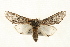  ( - CMAZ-0227)  @14 [ ] CreativeCommons - Attribution (2010) Unspecified Centre for Biodiversity Genomics