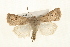  ( - CMAZ-0231)  @14 [ ] CreativeCommons - Attribution (2010) Unspecified Centre for Biodiversity Genomics