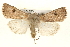  ( - CMAZ-0279)  @14 [ ] CreativeCommons - Attribution (2010) Unspecified Centre for Biodiversity Genomics