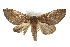  ( - CMAZ-0024)  @14 [ ] CreativeCommons - Attribution (2009) Unspecified Centre for Biodiversity Genomics