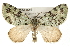  ( - CMAZ-0059)  @15 [ ] CreativeCommons - Attribution (2009) Unspecified Centre for Biodiversity Genomics