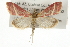  ( - CMAZ-0016)  @14 [ ] CreativeCommons - Attribution (2009) Unspecified Centre for Biodiversity Genomics