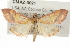  ( - CMAZ-0021)  @14 [ ] CreativeCommons - Attribution (2009) Unspecified Centre for Biodiversity Genomics
