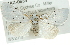  ( - CMAZ-0634)  @14 [ ] CreativeCommons - Attribution (2010) CBG Photography Group Centre for Biodiversity Genomics