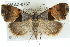  ( - CMAZ-0767)  @14 [ ] CreativeCommons - Attribution (2010) CBG Photography Group Centre for Biodiversity Genomics