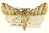  ( - BIOUG02041-F05)  @14 [ ] CreativeCommons - Attribution (2012) CBG Photography Group Centre for Biodiversity Genomics